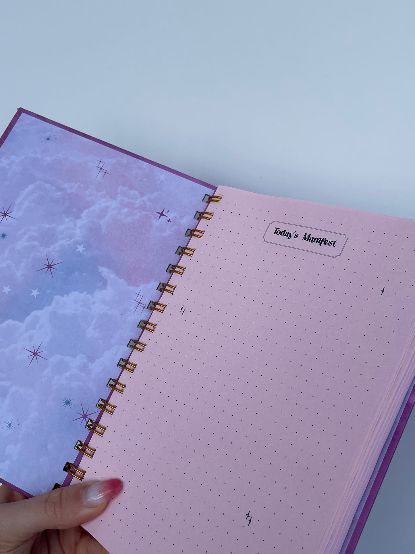 caderno manifest daily