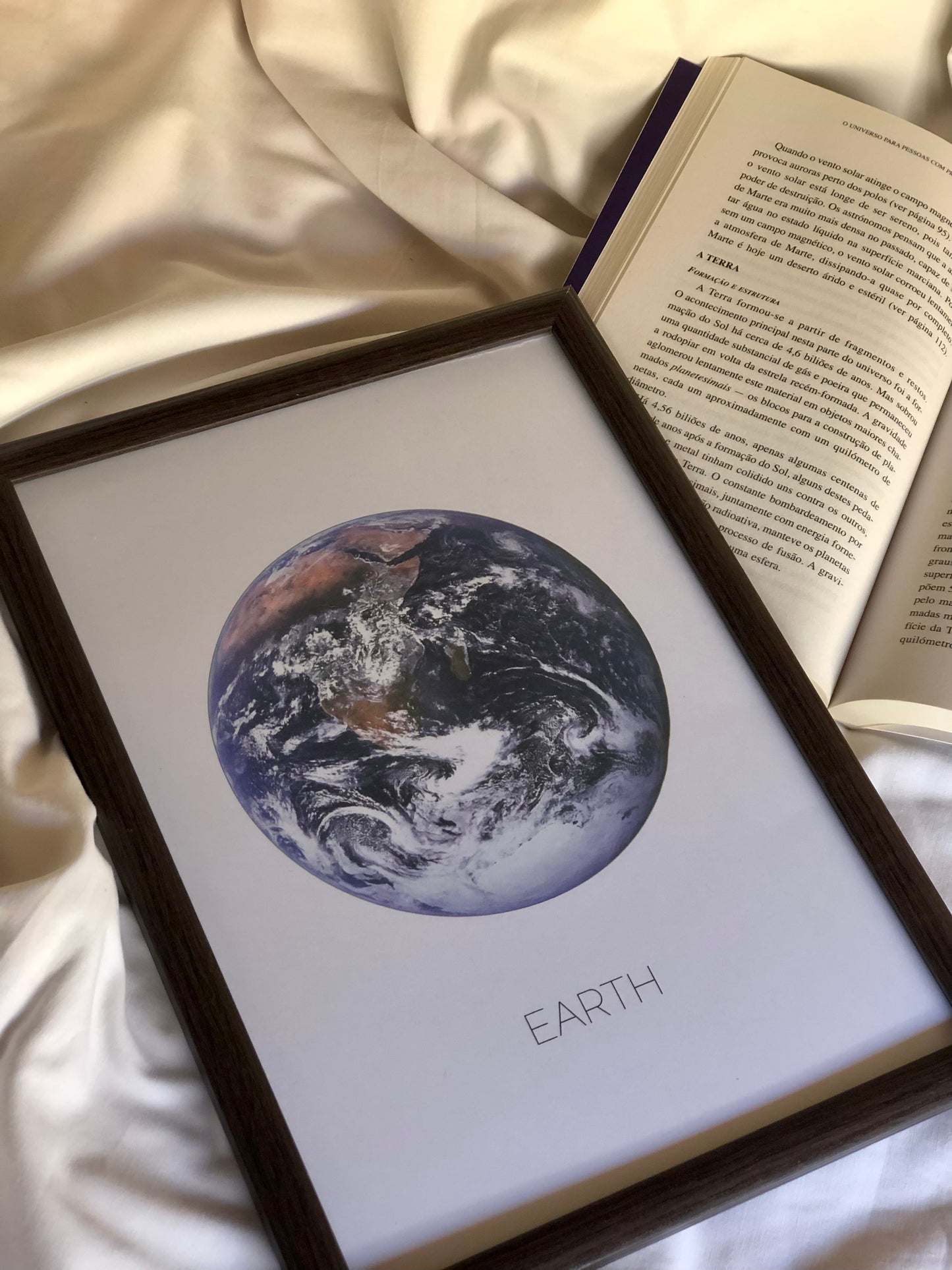 poster earth